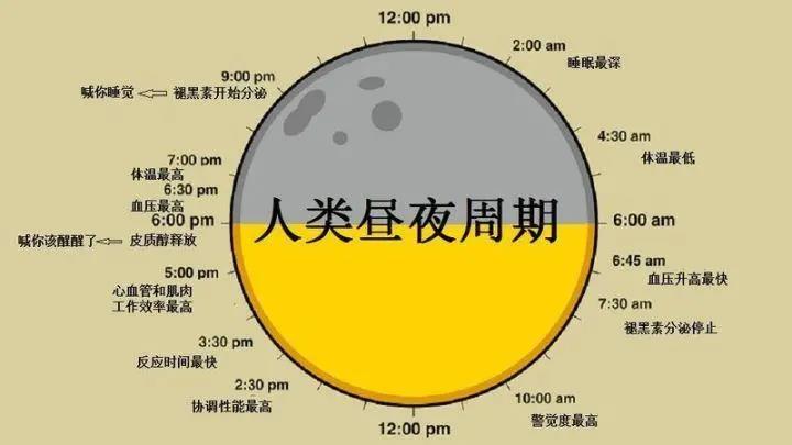 被疯狂吹爆的“早C晚A”，到底是不是智商税？