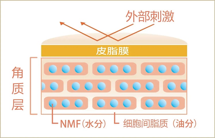 精准四肖三期必开一期