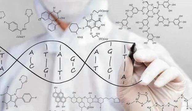 精准四肖三期必开一期