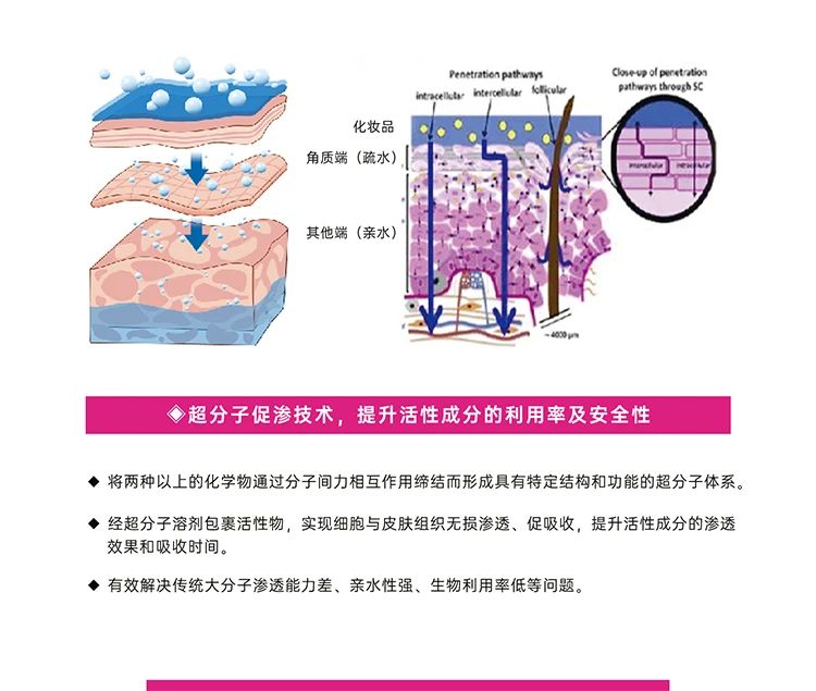 精准四肖三期必开一期