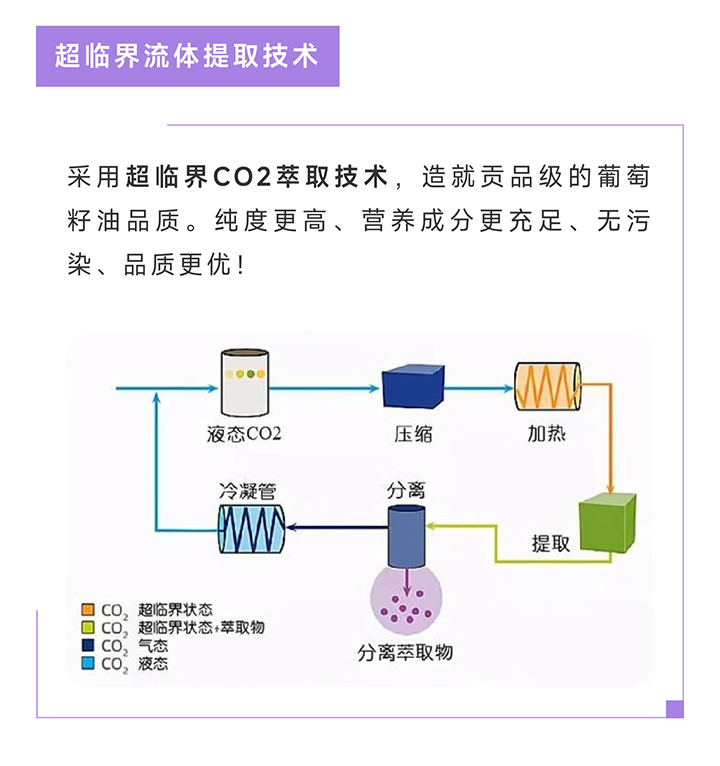 精准四肖三期必开一期